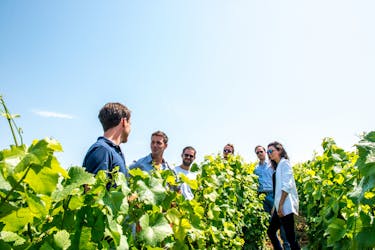 Short day family grower tour and lunch from Epernay
